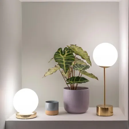 Retro-modern Echoes Apartment